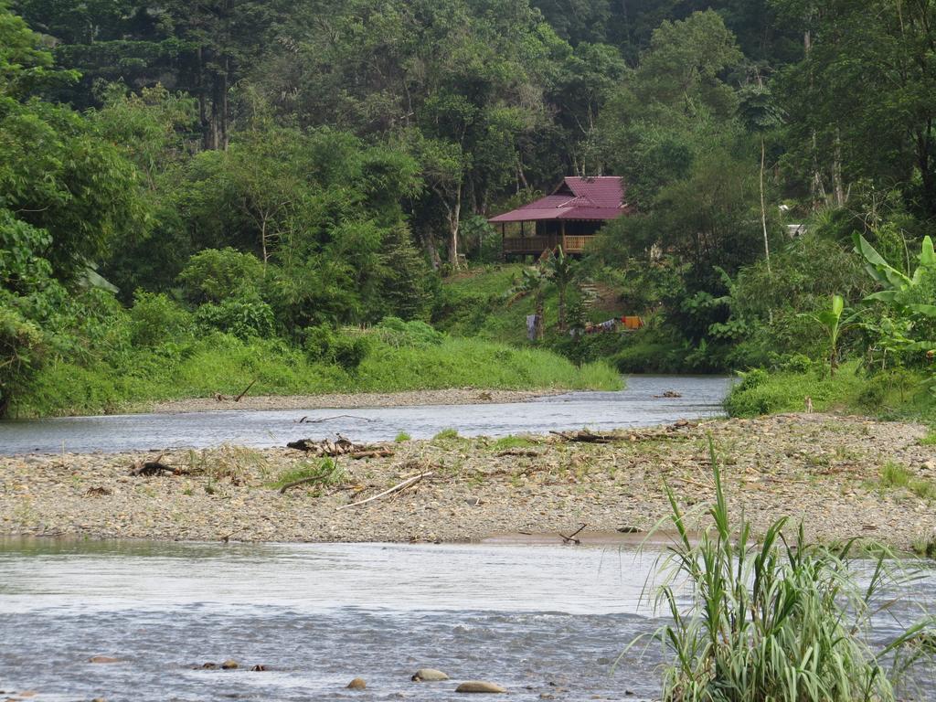 Batu Kapal Jungle Houses Hotell Berastagi Rum bild