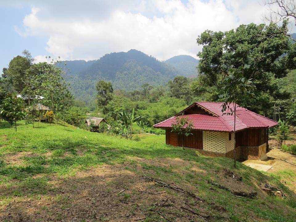 Batu Kapal Jungle Houses Hotell Berastagi Exteriör bild